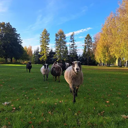 Rantasauna, Mainiemi Domek alpejski