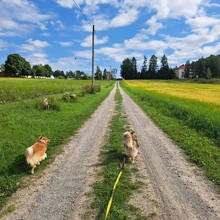 Domek alpejski Rantasauna, Mainiemi