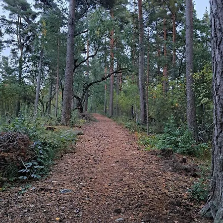 Domek alpejski Rantasauna, Mainiemi *